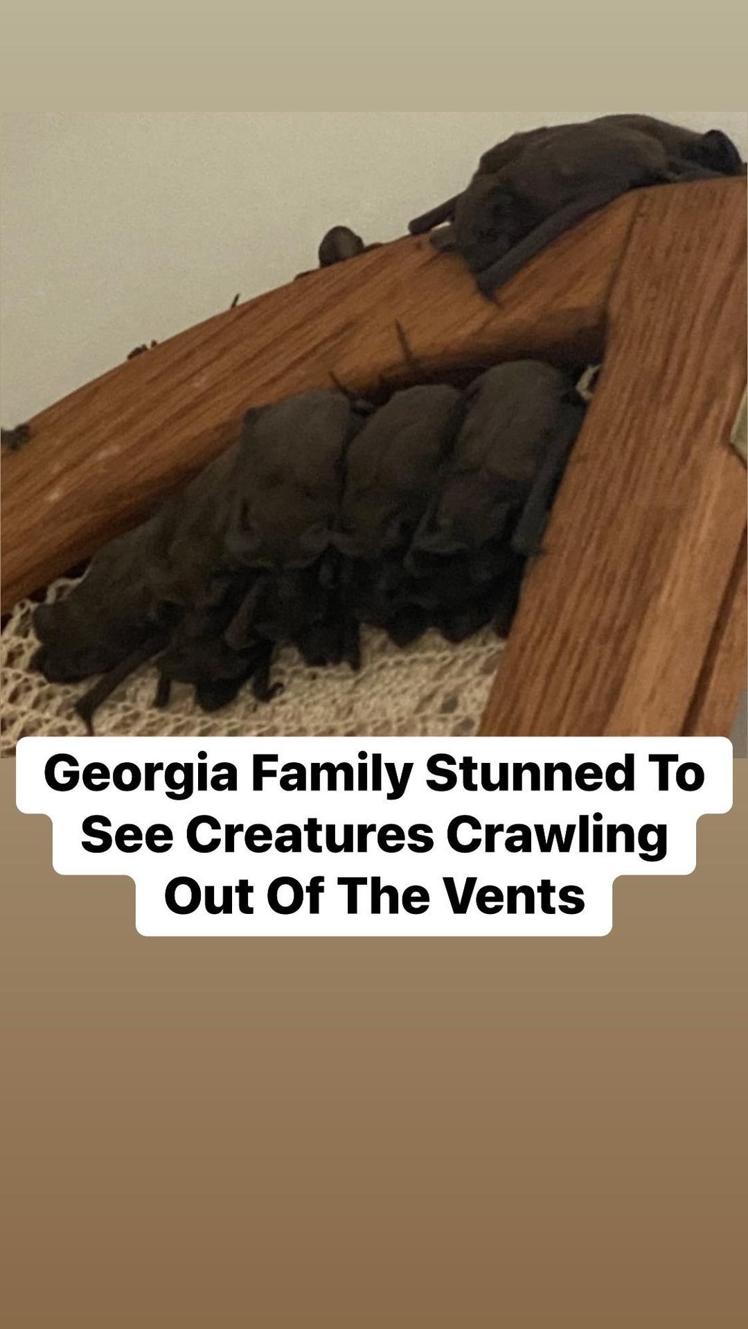 Georgia Family Stunned To See Creatures Crawling Out Of The Vents