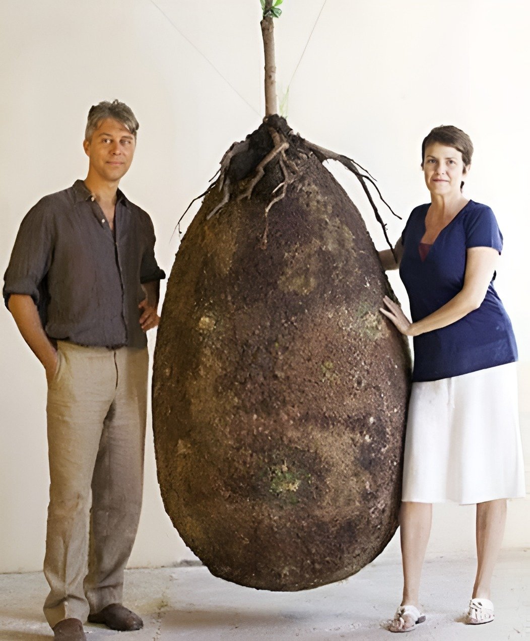 Goodbye to funeral with a coffin. In the future, this organic bag will turn a person into a tree when they leave this world.”@