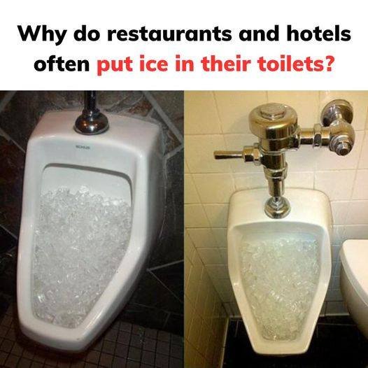 Why do restaurants and hotels often put ice in their toilets?