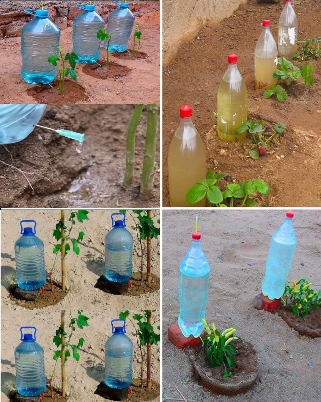 How to make an Automatic Vegetable Waterer Using a Plastic Bottle