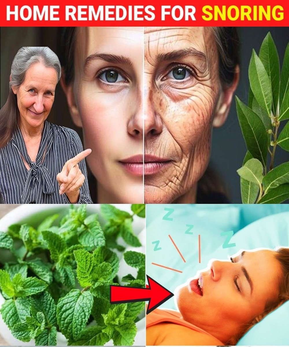 Natural Remedies for Snoring: How Leaves Can Help You Sleep Better