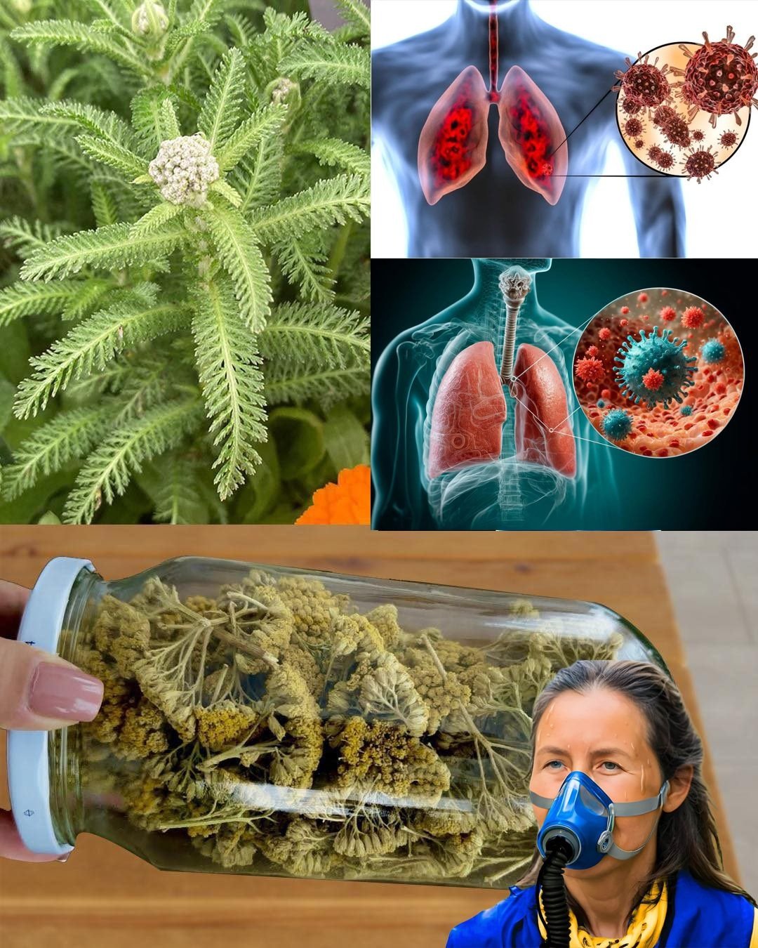 Complete Guide to Detoxifying Your Body & Lungs Naturally