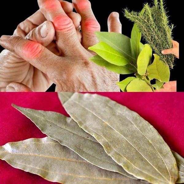 Feel Like a Teenager Again: The Incredible Joint-Healing Power of Bay Leaves