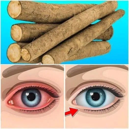 5 Powerful Herbs That Protect and Repair Your Eyesight: A Natural Approach to Vision Health