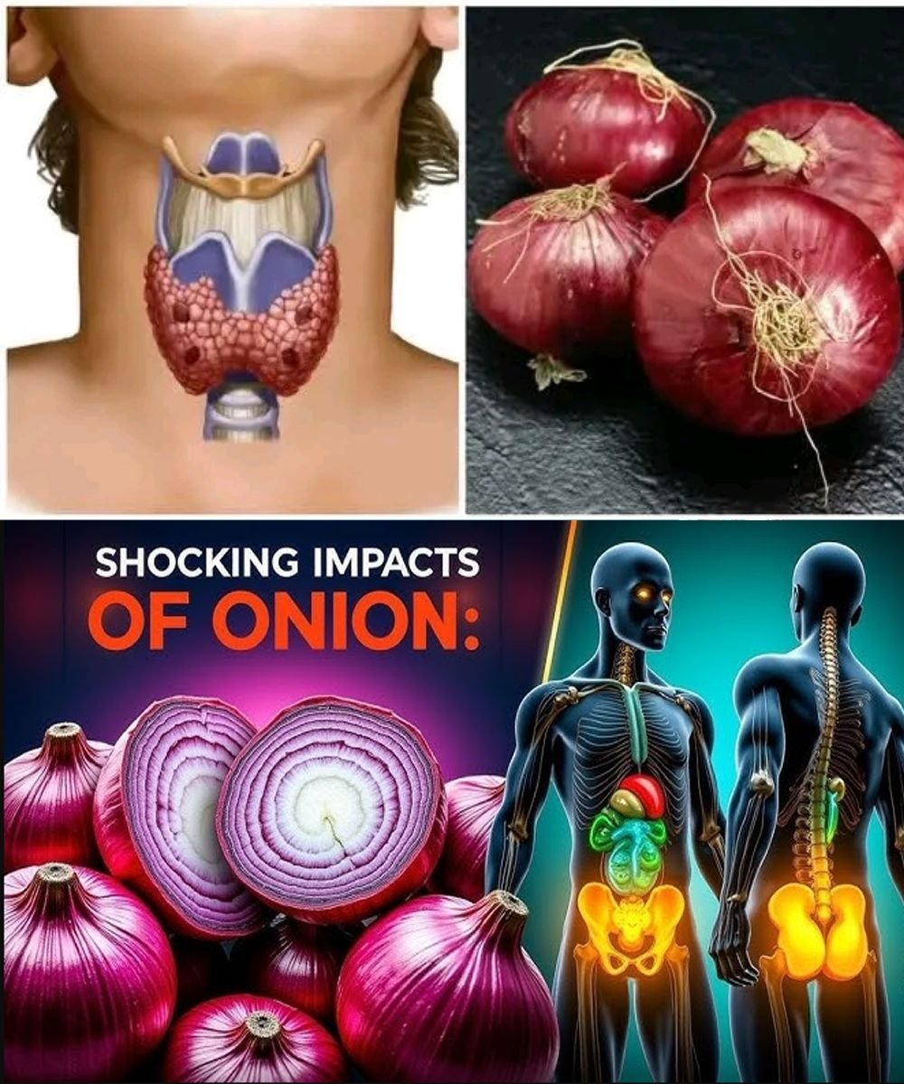 The Surprising Health Benefits of Onions: More Than Just a Kitchen Staple