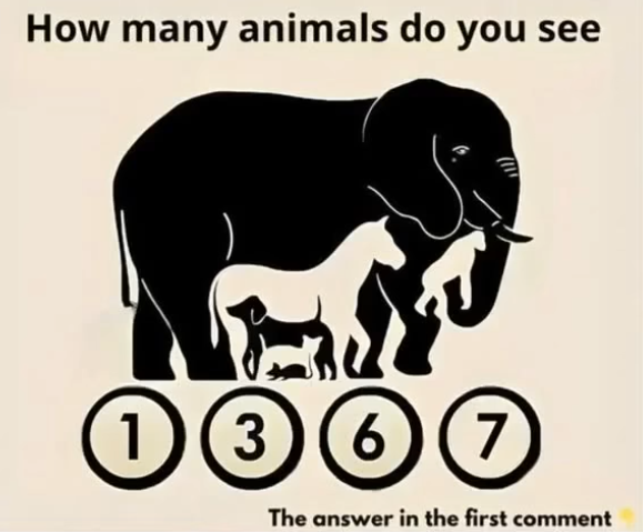 How Many Hidden Animals Can You Find in This Picture?